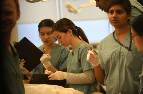 Michaela Hitchner with her learning team in an anatomy course